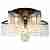 Потолочная люстра TopLight Ivy TL68862D-5