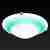 Потолочный светильник Toplight Elizabeth TL9091Y-02GN Потолочный светильник Toplight Elizabeth TL9091Y-02GN