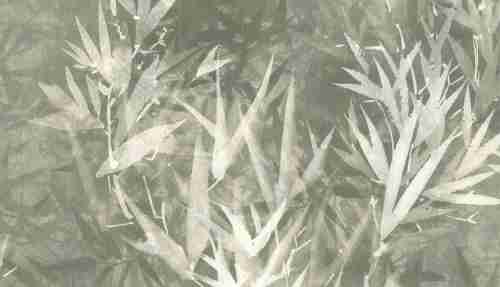 18603 Обои Limonta (Lymphae) (1*6) 10,05х0,53 винил на флизелине