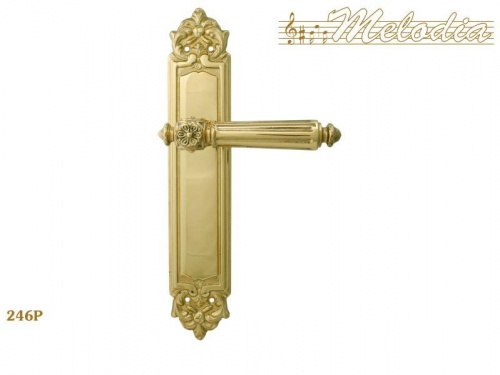 Ручка дверная межкомнатная Melodia Nike 246/229 Полированная латунь