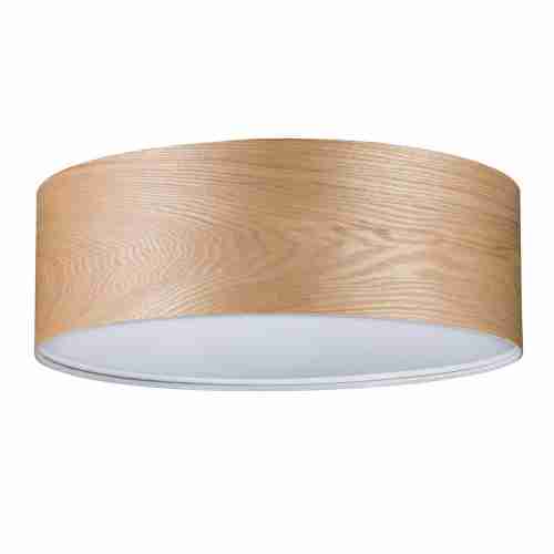 Потолочный светильник Paulmann Alva 79650