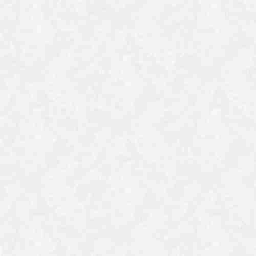 S-21555-2 Обои Yasham (Echo) (1*6) 10,05x1,06 винил на флизелине