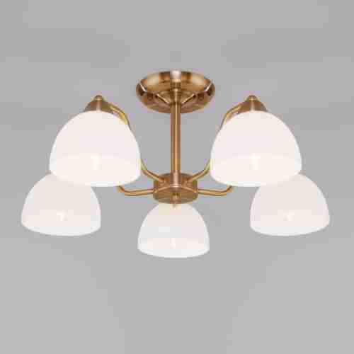 Потолочная люстра Eurosvet Carissa 30172/5