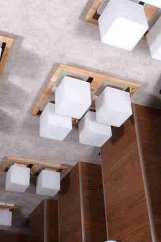 Потолочная люстра Lucia Tucci Natura 084.4