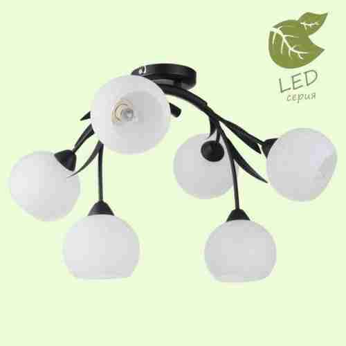 Люстра потолочная Loft Bagheria GRLSF-6283-06