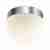 Потолочный светильник Odeon Light Minkar 2443/1A Потолочный светильник Odeon Light Minkar 2443/1A