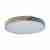 Потолочный светодиодный светильник Loft IT Axel 10004/36 grey Потолочный светодиодный светильник Loft IT Axel 10004/36 grey