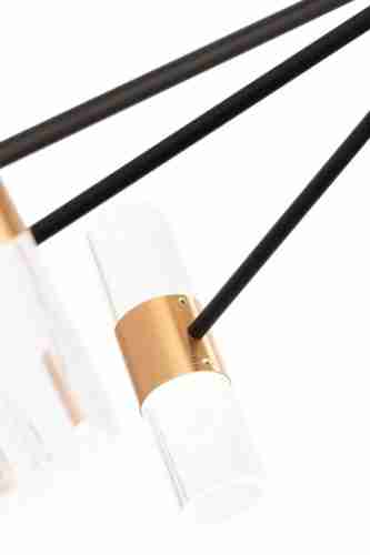 Потолочная светодиодная люстра Freya Mia FR6038CL-L80B