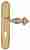 Ручка дверная Extreza TESLA (Тесла) 315 на планке PL05 CYL полированное золото F01