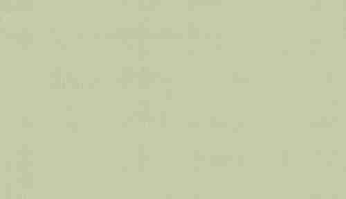 BN 220802 Обои BN (Doodledoo) (1*12) 10,05x0,53 винил на флизелине