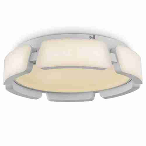 Потолочный светодиодный светильник Freya Ethan FR6040CL-L92W