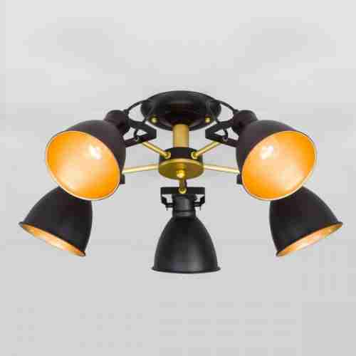 Потолочная люстра Eurosvet Denley 70112/5