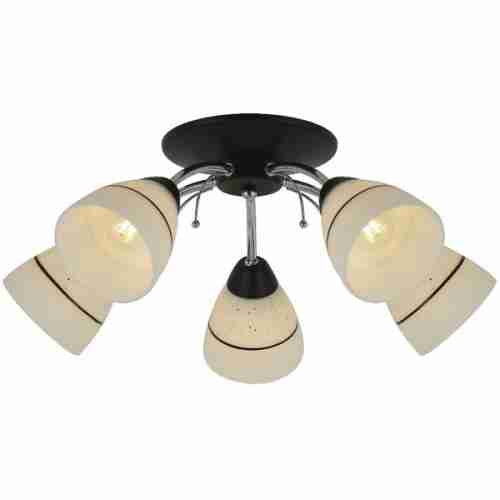Потолочная люстра TopLight Winnifred TL1255D-05BC