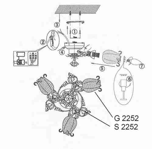 Потолочная люстра Odeon Light Ameli 2252/3C