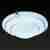 Потолочный светильник Toplight Elizabeth TL9091Y-02TР Потолочный светильник Toplight Elizabeth TL9091Y-02TР
