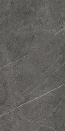 Керамогранит Italon Charme Evo Floor Project Эво Антрачит люкс. рет. напольная 44х88